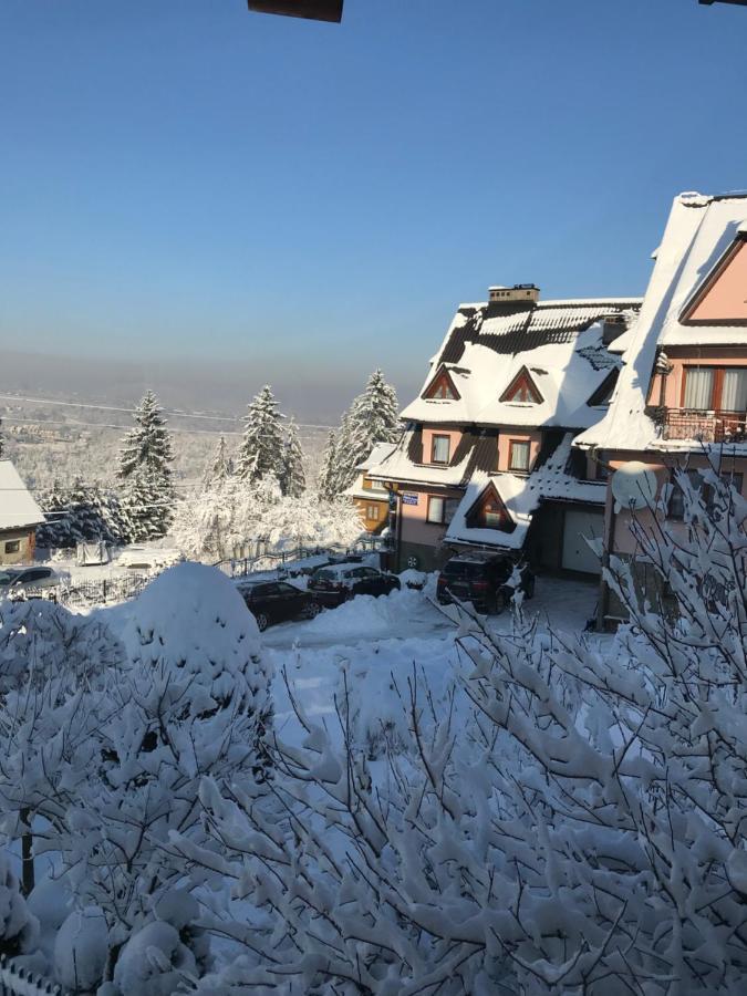 Pokoje U Borzana Bed & Breakfast Bialy Dunajec Exterior photo